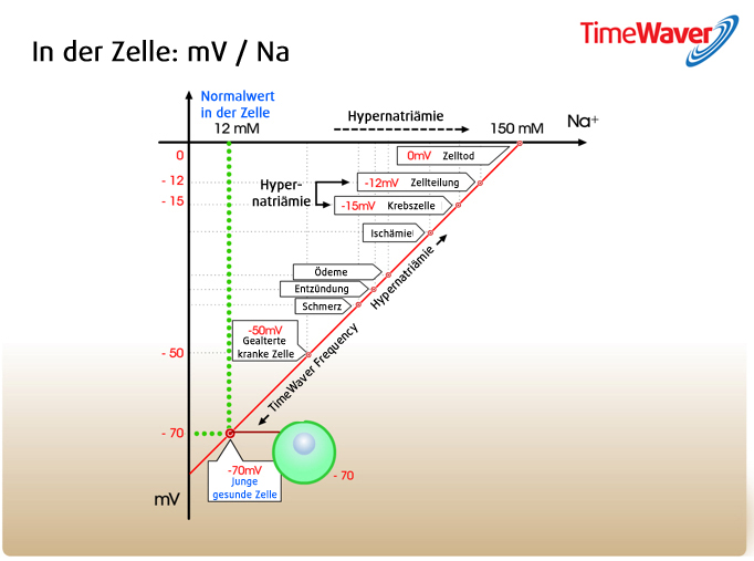 Hier sehen Sie eine Ansicht über die Spannungswerte einer Zellmembran bei der Behandlung mit TimeWavers